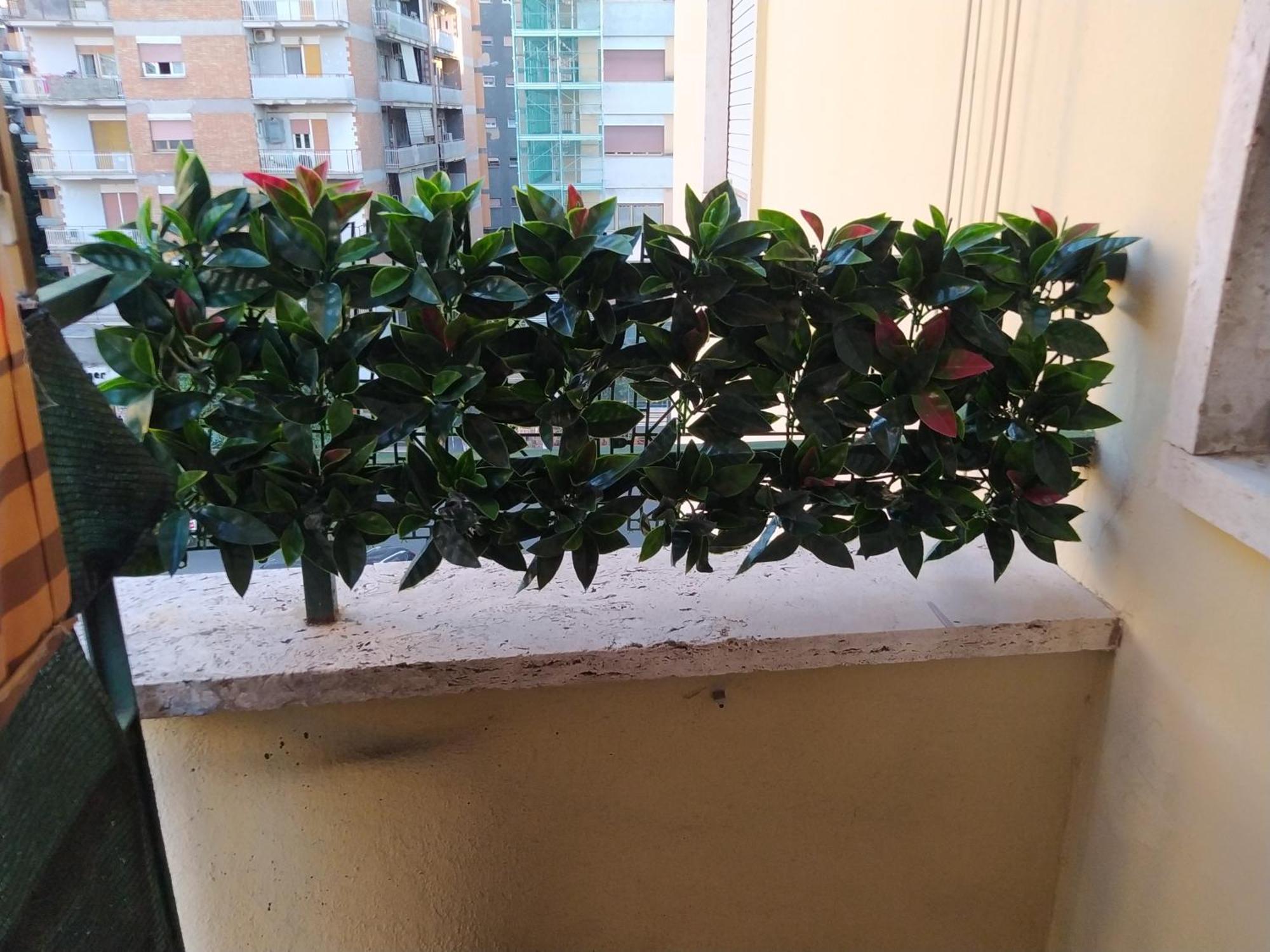 Linda'S Guest House Rome Bagian luar foto
